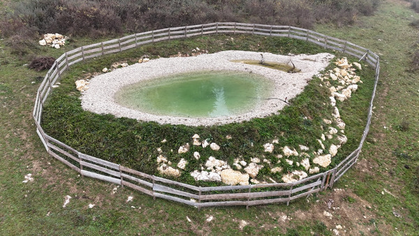 neu erstellter Teich mit Wasser, eingezäunt.