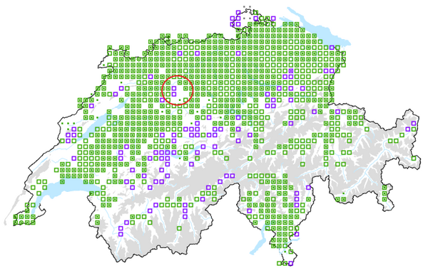 Carte de distribution de l'Impatiente glanduleuse