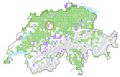 Verbreitungskarte des Drüsigen Spingkrautes