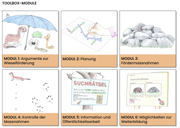 Die sechs Modulen zur Förderung von Hermelin und Mauswiesel sind mit Illustrationen abgebildet