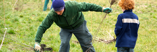 Mehrere Personen beim Pflanzen von Hecken, Foto: Thomas Alföldi, FiBL