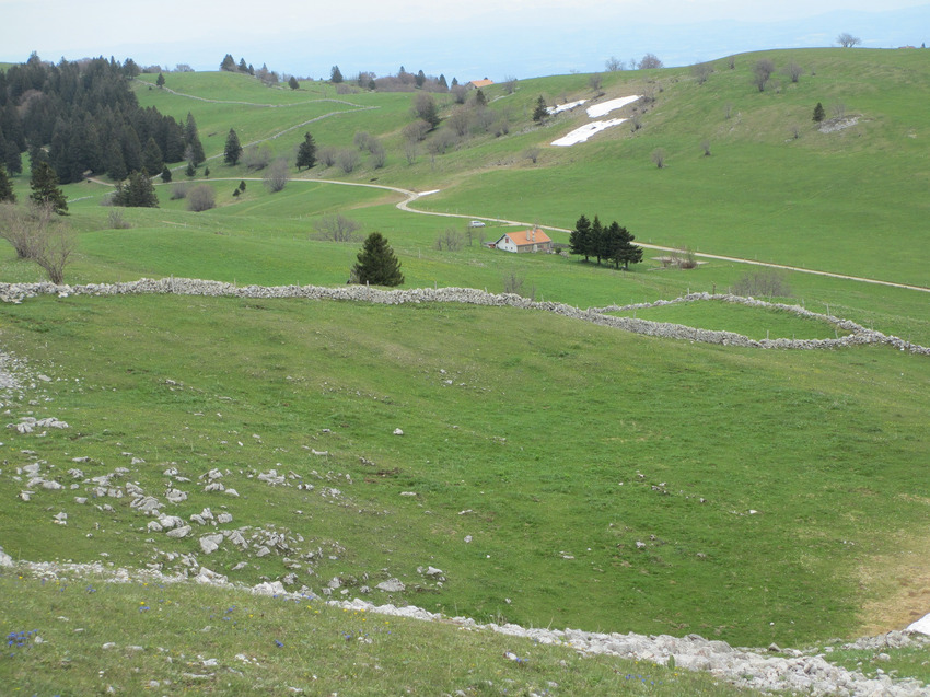 Murs de pierres sèches