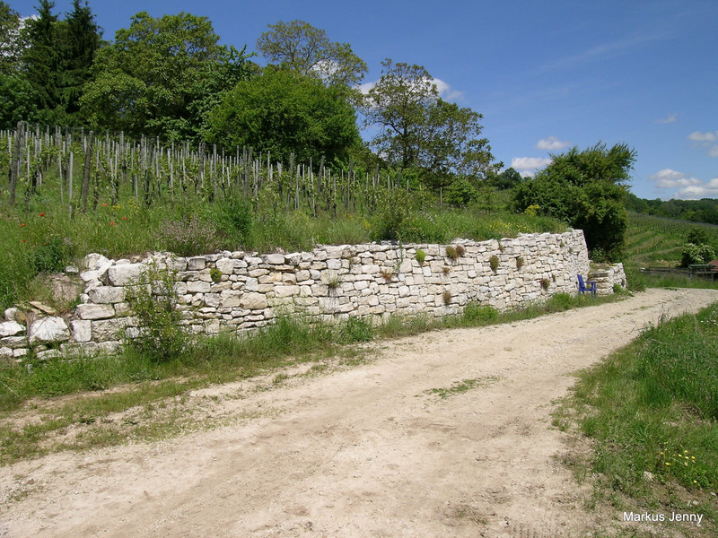 Mur en pierres sèches