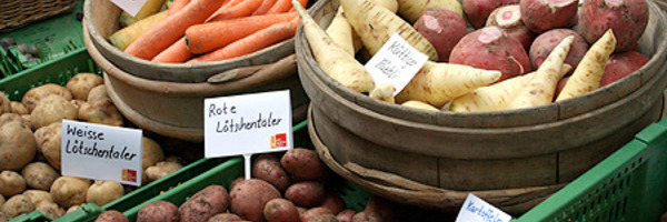 Kisten mit alten Gemüsesorten Karotten und Kartoffeln