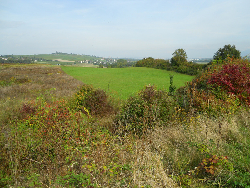 Bande refuge