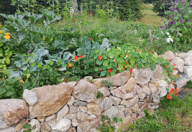 (c) Simona Moosmann Mit Steinmauern terrassierter Bauerngarten mit Mischkultur Blumen und Gemüse