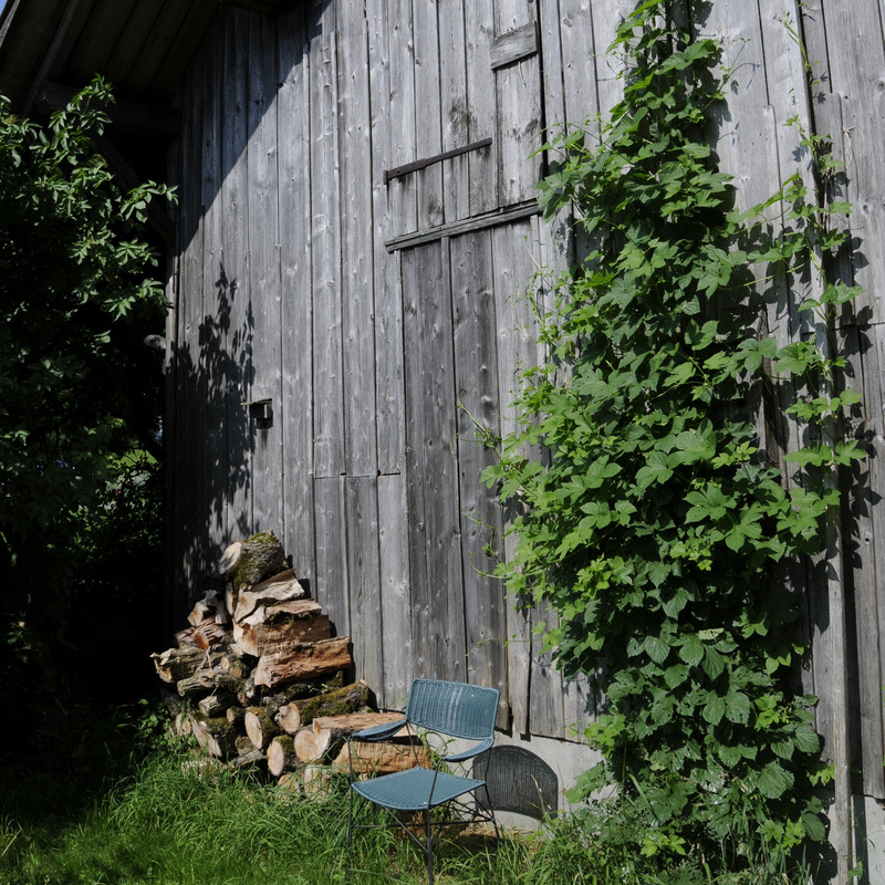 (c) Markus Jenny Fassade en bois végétalisée