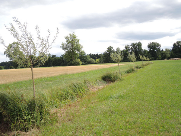 (c) Cornelia Kupferschmid